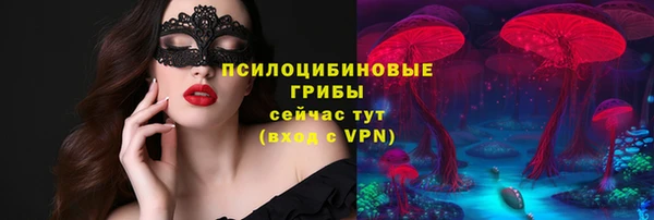 а пвп мука Богданович