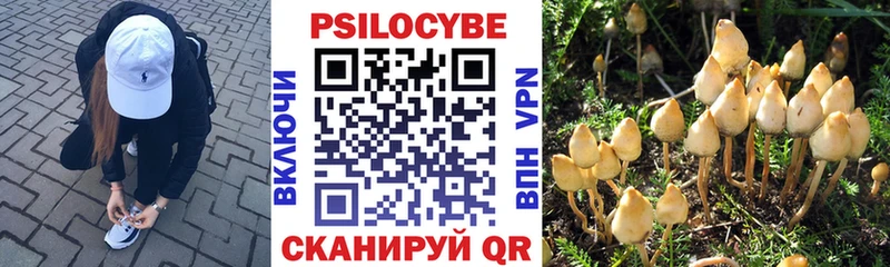 Псилоцибиновые грибы MAGIC MUSHROOMS Долинск